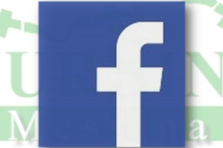 pulsante facebook plus mini